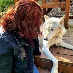 Meet your Posher, Bridget